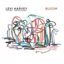 CD BLOOM