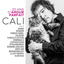 CD 20 ANS DAMOUR PARFAIT