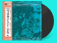 Vinyl DISAPPOINTMENT-HATERUMA