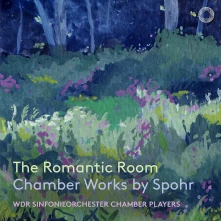 CD ROMANTIC ROOM: CHAMBER...