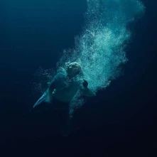 Vinyl THROUGH WATER