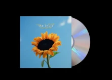 CD JOY IN SHORT MOMENTS