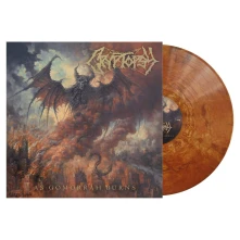 Vinyl AS GOMORRAH BURNS