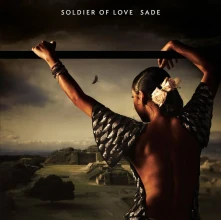 Vinyl Soldier of Love