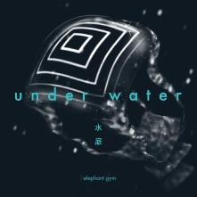 Elephant Gym, Vinyl UNDERWATER