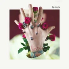 CD Bloom