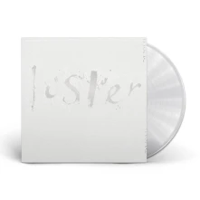 Vinyl Luster