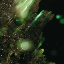 Vinyl IDSUNGWUSSA