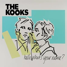 The Kooks, Vinyl HELLO, WHAT'S YOUR NAME?