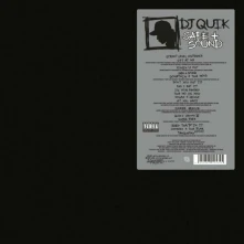Vinyl SAFE + SOUND