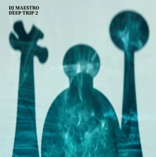 Vinyl DEEP TRIP 2