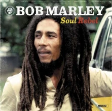 Vinyl SOUL REBEL