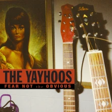 Vinyl FEAR NOT THE OBVIOUS