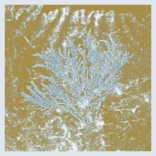 Huerco S., Vinyl FOR THOSE OF YOU WHO HAVE NEVER