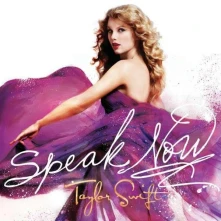 Vinyl SPEAK NOW