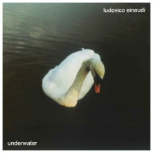 Vinyl UNDERWATER