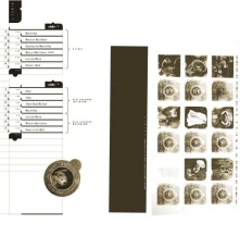 Vinyl DOOLITTLE 25