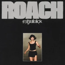 Vinyl ROACH