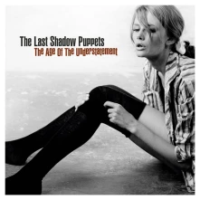The Last Shadow Puppets, Vinyl The Age Of The Understatement