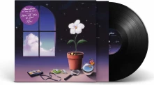 Vinyl WE ALWAYS HAD TOMORROW