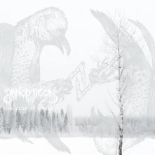 CD The Rime of Memory