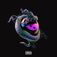 CD CHIP - SNAKES & LADDERS