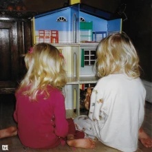 CD ZEBRA (7EBRA) - BIRD HOUR