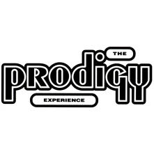 Vinyl Experience