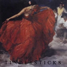 CD THE FIRST TINDERSTICKS ALBUM
