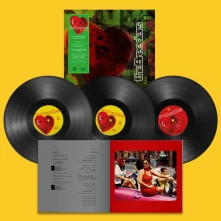 Vinyl LAST SPLASH
