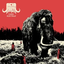 Vinyl UNDER ACID HOOF
