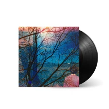 Vinyl IDLEWILD