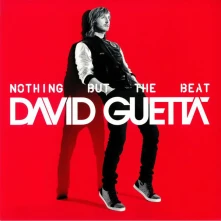 Vinyl Nothing But The Beat
