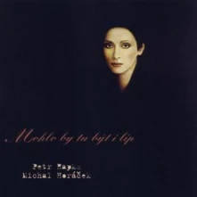 Petr Hapka & Michal Horáček, Vinyl Mohlo by tu být i líp
