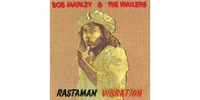 CD RASTAMAN VIBRATION