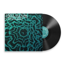 Vinyl KEEP ON LIVIN' / LATE ...