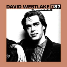 Vinyl D87