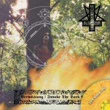 Vinyl VERWUSTUNG / INVOKE TH...