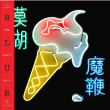 Vinyl The Magic Whip