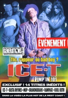 DVD Pimp'in 101