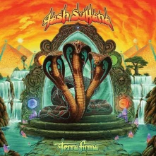 Vinyl Terra Firma