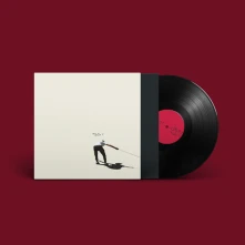 Vinyl DEUS - HOW TO REPLACE IT
