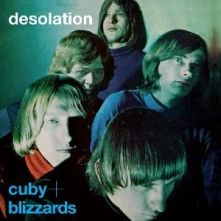 Vinyl Desolation