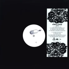 Vinyl Vinylized Vol.8