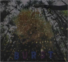CD SNARLS - BURST