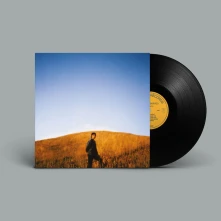 Vinyl DEAR DEPARTED
