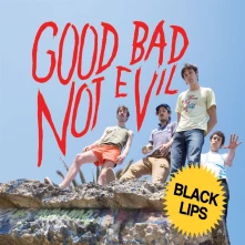 Vinyl GOOD BAD NOT EVIL (DEL...