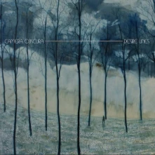 CD DESIRE LINES