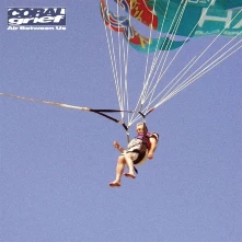 Vinyl AIR BETWEEN US