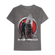 Falcon & Winter Soldier A Logo